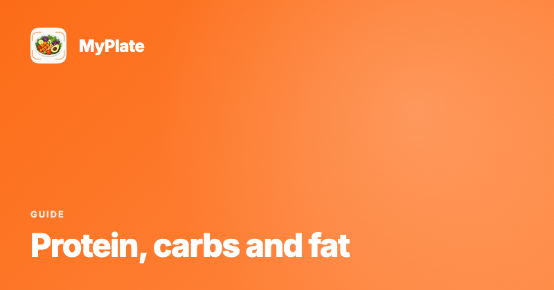 Macros Explained: How Much Protein, Carbs and Fat You Actually Need