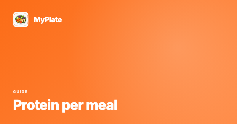 Does Protein Per Meal Matter When Tracking Macros?